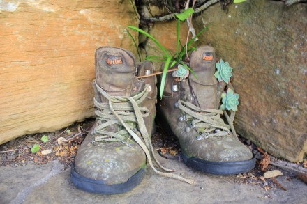 Old Walking Boots
