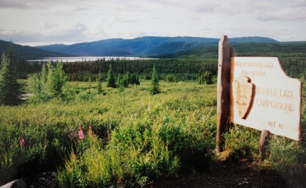 Denali National Park