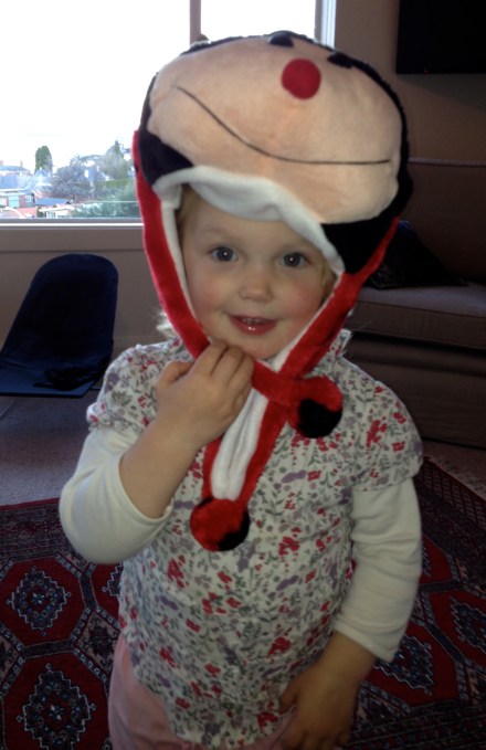 Ladybird Hat