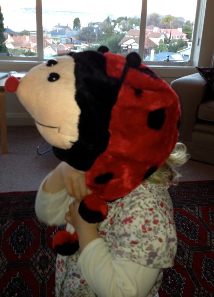 Ladybird Hat
