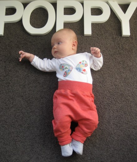 Poppy - 12 Weeks