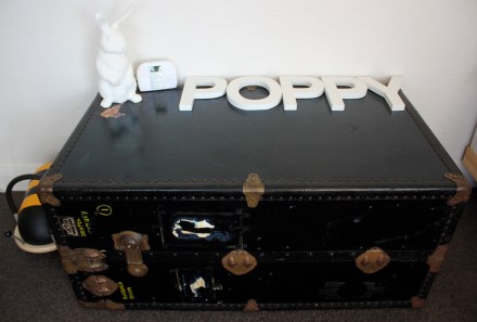 Poppy's Great Grandfather's Chest