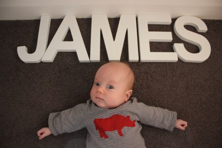 James - 12 Weeks Old