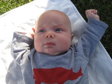 James - Nutgrove Park