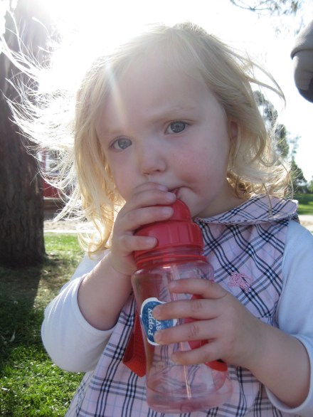 Poppy - Nutgrove Park