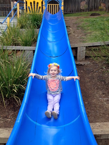 West Hobart Train Park