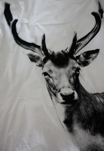 Deer Doona