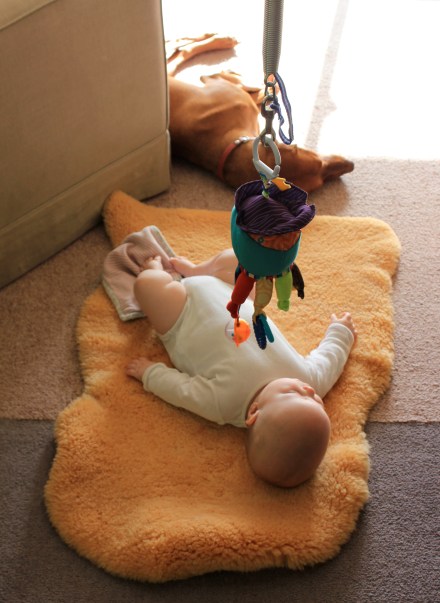 James - 6 months old