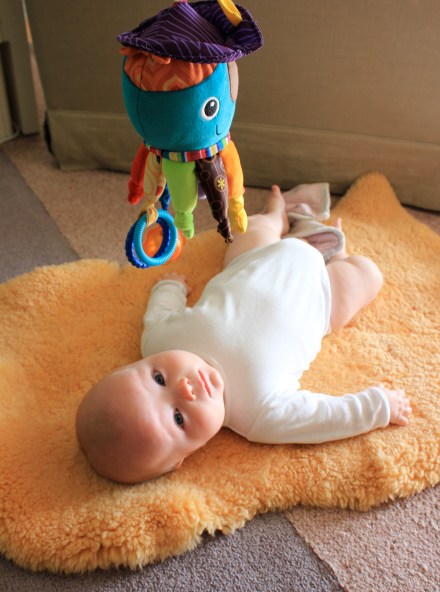 James - 6 months old