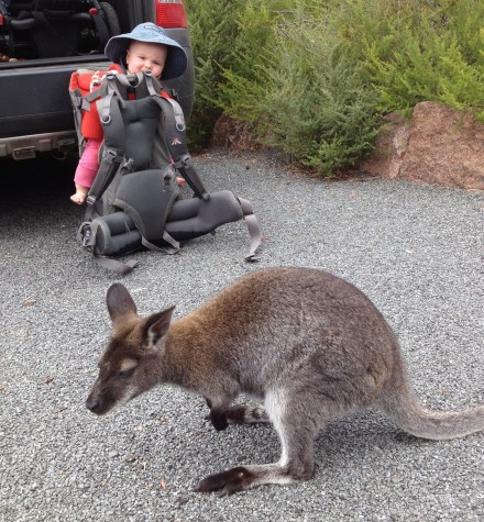 Freycinet National Park
