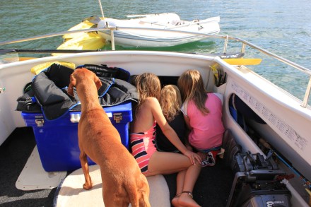 Poppy & her friends watching Happy Feet in the shade!