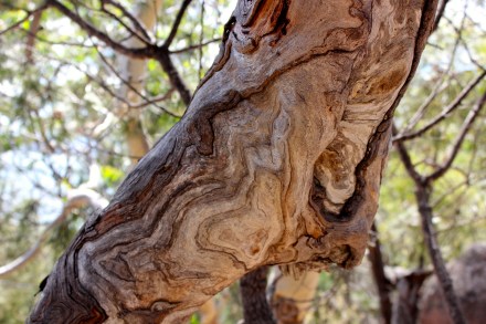 Freycinet National Park