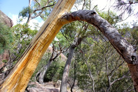 Freycinet National Park