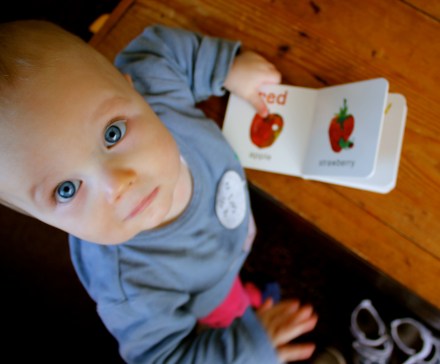 James - Hungry Caterpillar