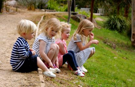 Watching the ducklings