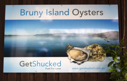 Get Shucked