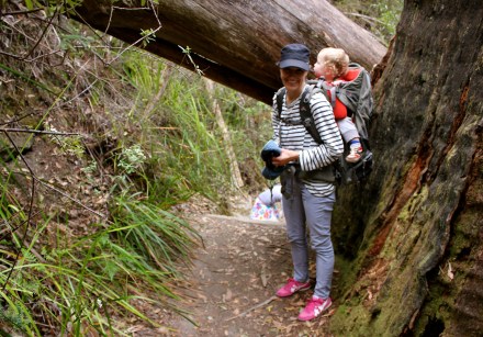Snug Falls
