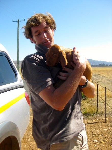 Maisy - Jan 2009 (1)