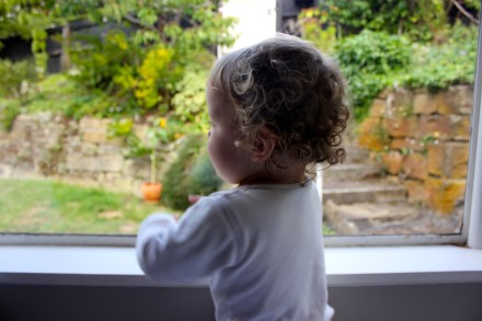 Harvesting Pears - 07