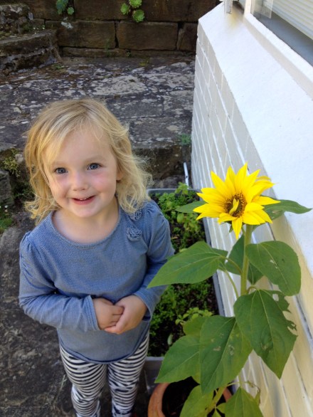 Poppy and her sunflower