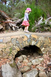 Beautiful track work