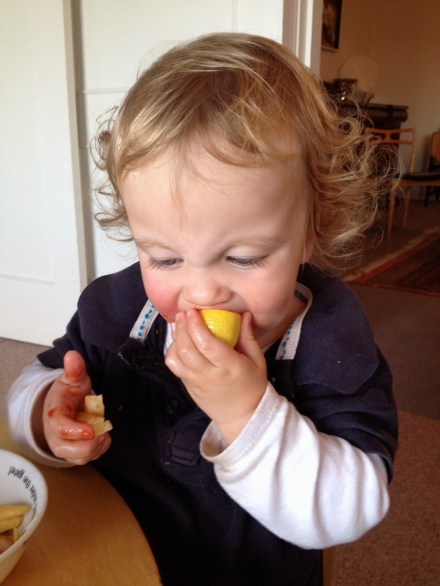 Loves sucking on lemons?