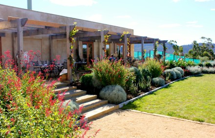 Stefano Lubiana Vineyard