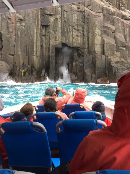 Tasman Island Cruises