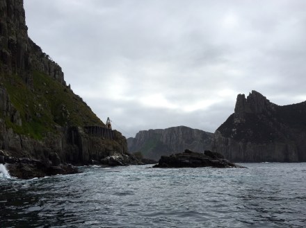 Tasman Island Cruises