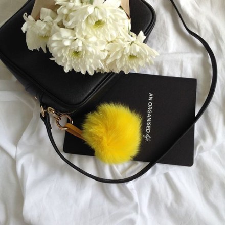 10922444_1003495633013550_7038822271237313600_n_large