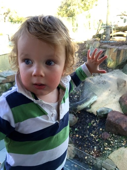 James at the monkeys