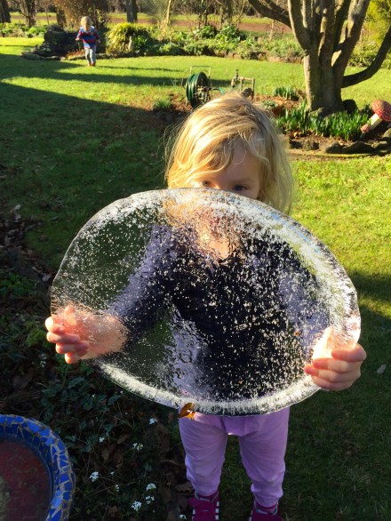 Ice from the bird bath