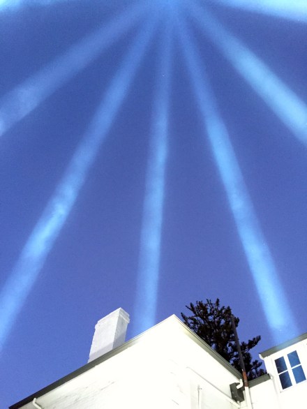 Dark MOFO's Pulse Column