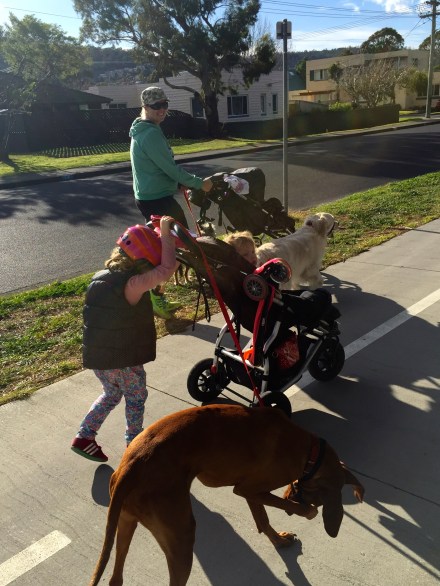 Three Dogs, Two Prams, Three Children, Two Mums