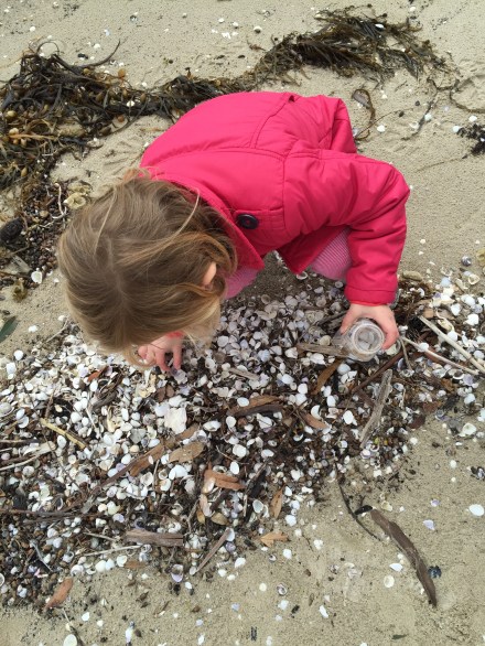 Great Bay - Bruny Island