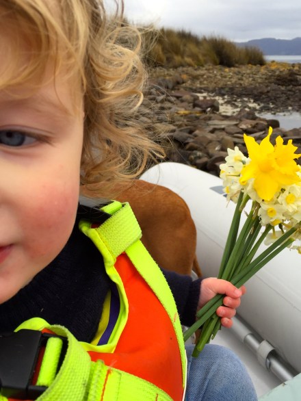 Great Bay - Bruny Island