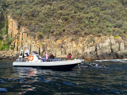 Wild Ocean Tasmania