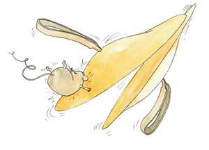 maximusmusikus-musin_300_216