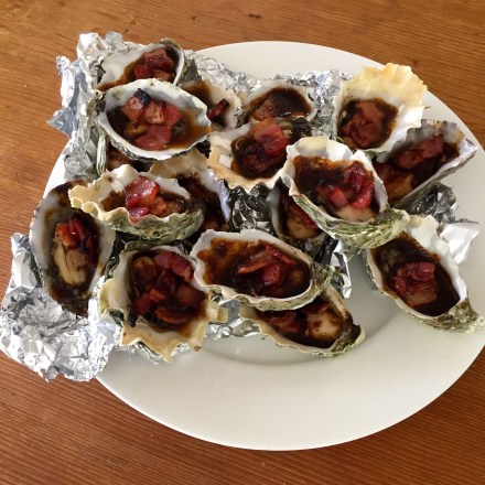Oysters at Home
