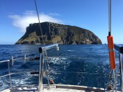Tasman Island
