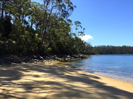 Stewart's Bay