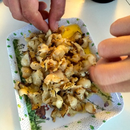 Freshly caught Abalone