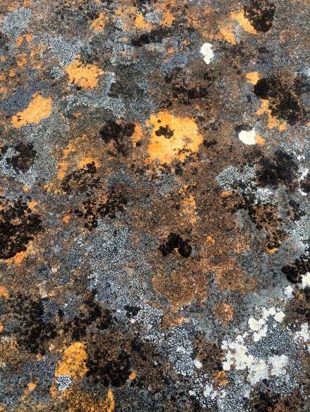 Dolerite detail