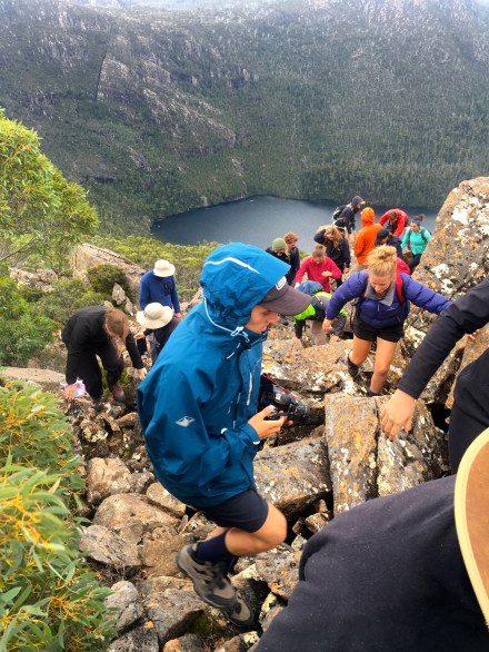 Mount Field National Park