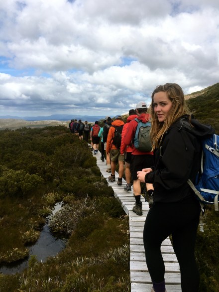 Mount Field National Park