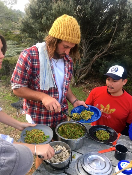 Mount Field National Park