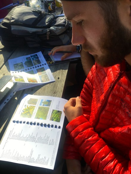 Mount Field National Park