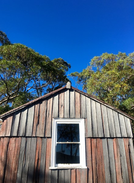 Mount Field National Park