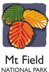 Mount Field