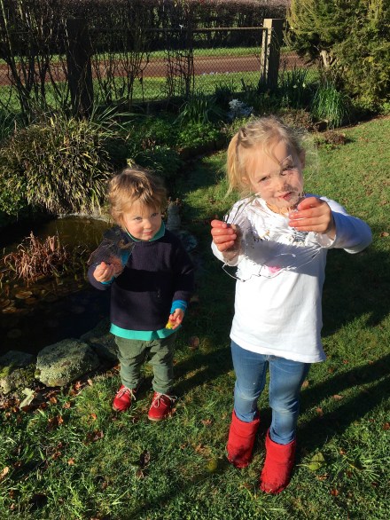 Ice off the fish pond